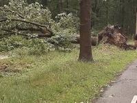 Veel schade door storm Evert