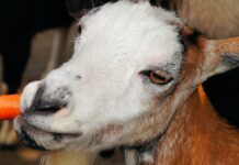 Open Huis-Proeverij 2021 ook voor kinderen!