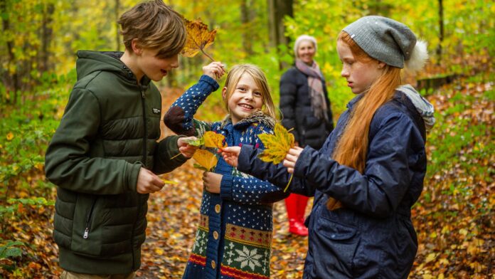 kinderen met herfstbladeren