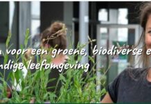 Icoonsoorten belangrijk in Papendrecht