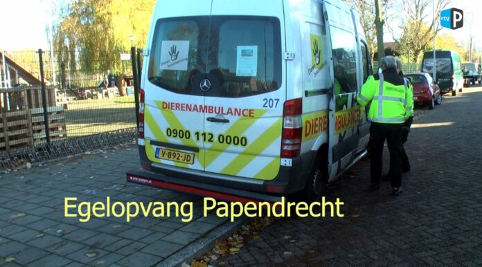 Egelopvang papendrecht