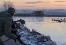 Prijs voor film De Wilde Waard