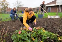Gratis zaailingen ophalen