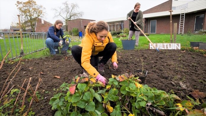 Ruiltuin, Gemeente Papendrecht