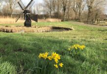 Eerste tekenen van de lente