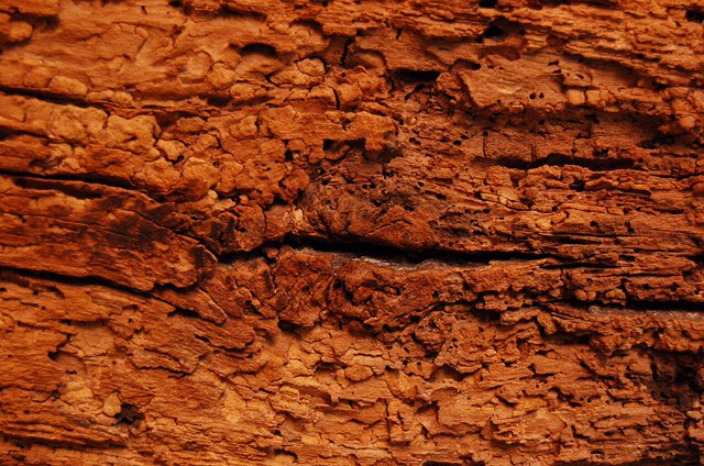 rtvpapendrecht-wijdema