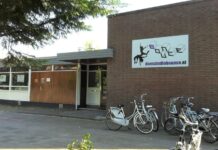 Sport en dansstudio Bounce danst voor Oekraïne