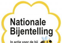 Nationale Bijentelling ook via scholen