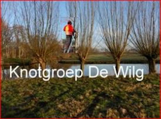 53347de0-1fba-11ec-8b70-6b57656a23df