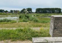 5 picknickplekken in de regio