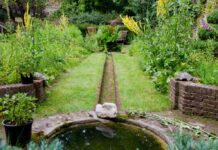 Column Leen den Ouden: Na hitte wateroverlast?