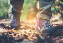 Opleiding Wandeltrainer 1 en 2 van start in Papendrecht