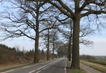 VVN: ‘Maak van 80km-wegen 60km-wegen’