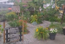 Odensehuis, ook voor mensen met jongdementie