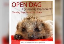 Open dag Egelopvang Papendrecht
