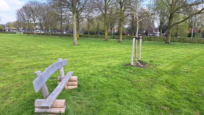 boomvantroost privefoto