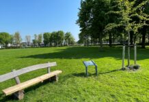 Boom van troost en bijbehorend bankje hersteld