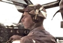 De piloot die zich na een noodlanding in Papendrecht schuil hield in een konijnenhok