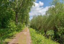 Alblasserbos bij Oud-Alblas afgesloten: scherven zonnecellen gevaarlijk voor dieren
