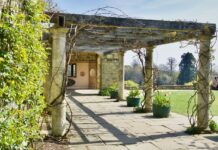 Tips voor het ontwerpen van een overkapping in jouw Papendrechtse tuin