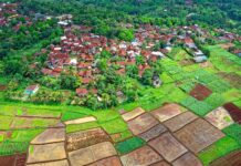 Van agrarisch dorp tot moderne stad