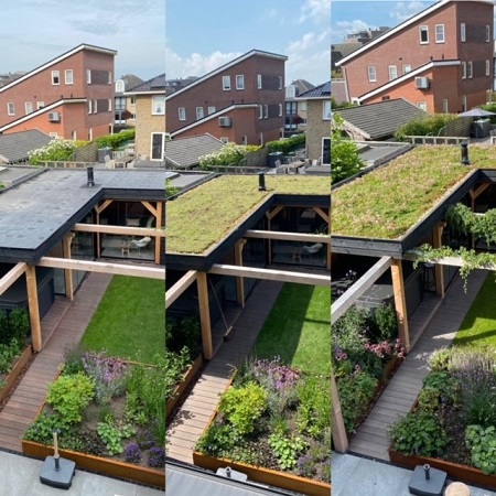 groendak_nelly_dijkstra_foto groendakcoach 2023 (1)