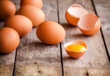 Advies: eet niet alleen eieren van hobbykippen