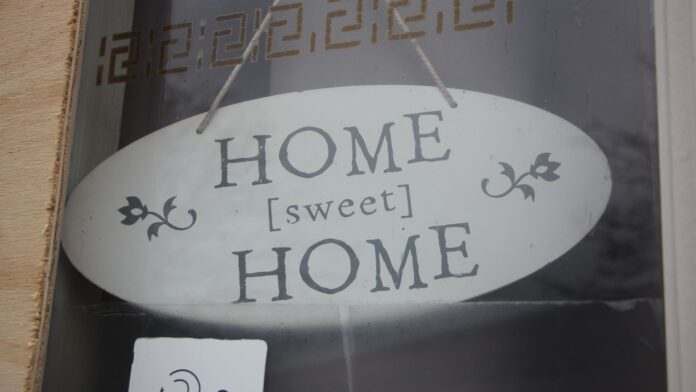 2023-12-19-stellingmolen(5a)