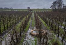 Rivierengebied is kletsnat