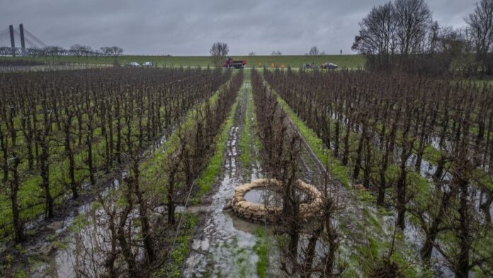 wel zaltbommel opkisten1