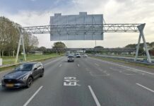 Agenten proberen hond te vangen op de A16