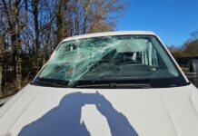 Bestuurder met de schrik vrij nadat boom langs de N3 op zijn bus valt