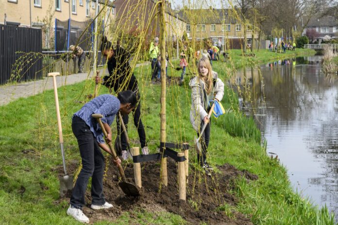 240320Boomfeestdag Randwijk2667