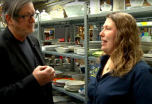 De wondere wereld van de kringloopwinkel