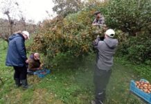 De Heerlijkheid zoekt vrijwillige zorgboeren