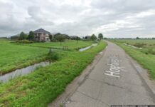 Man rijdt in sloot door overstekende eend