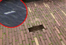 Verdwenen struikelstenen gevonden op bankje: ‘Hopelijk heeft iemand spijt’
