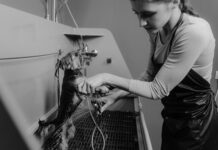 Verzorg je Maltipoo optimaal met deze tips