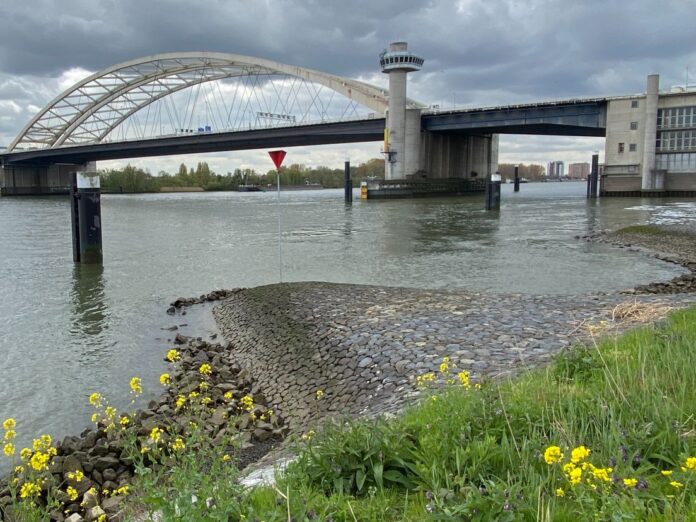 van brienenoordbrug rijnmond