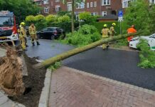 112-Nieuws: keukenbrand, man met voet in machine en boom valt op auto