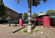 17-jarige verdachte van dodelijke steekpartij langer vast