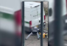 Hovenier speurt dief op, man in Dordrecht aangehouden