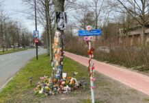 Vier maanden geëist tegen Papendrechter die meisje dood reed