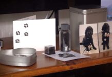 Hulphond Darco overlijdt na vuurwerkshock, baasje roept op tot strengere regels (Video)