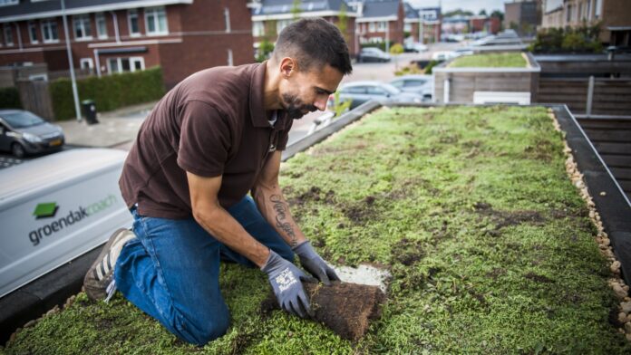 groendak foto bij persbericht