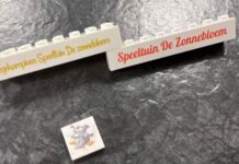 Speeltuin De Zonnebloem organiseert Legokampioenschappen