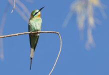 Lezing Hans Boekhout bij NVWA