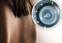 Als zijn vrouw gaat douchen, besluit Marius stiekem te filmen: ‘Ik heb de liefde willen voeden’